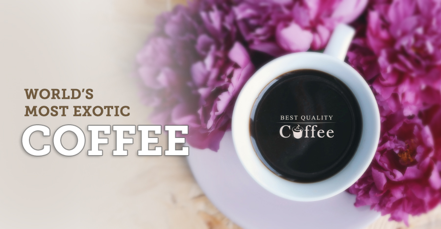 public/uploads/2021/06/world-best-exotic-coffee.jpg
