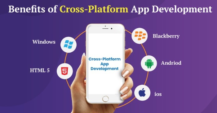 public/uploads/2021/10/benefits-of-cross-platform-app-development.jpg
