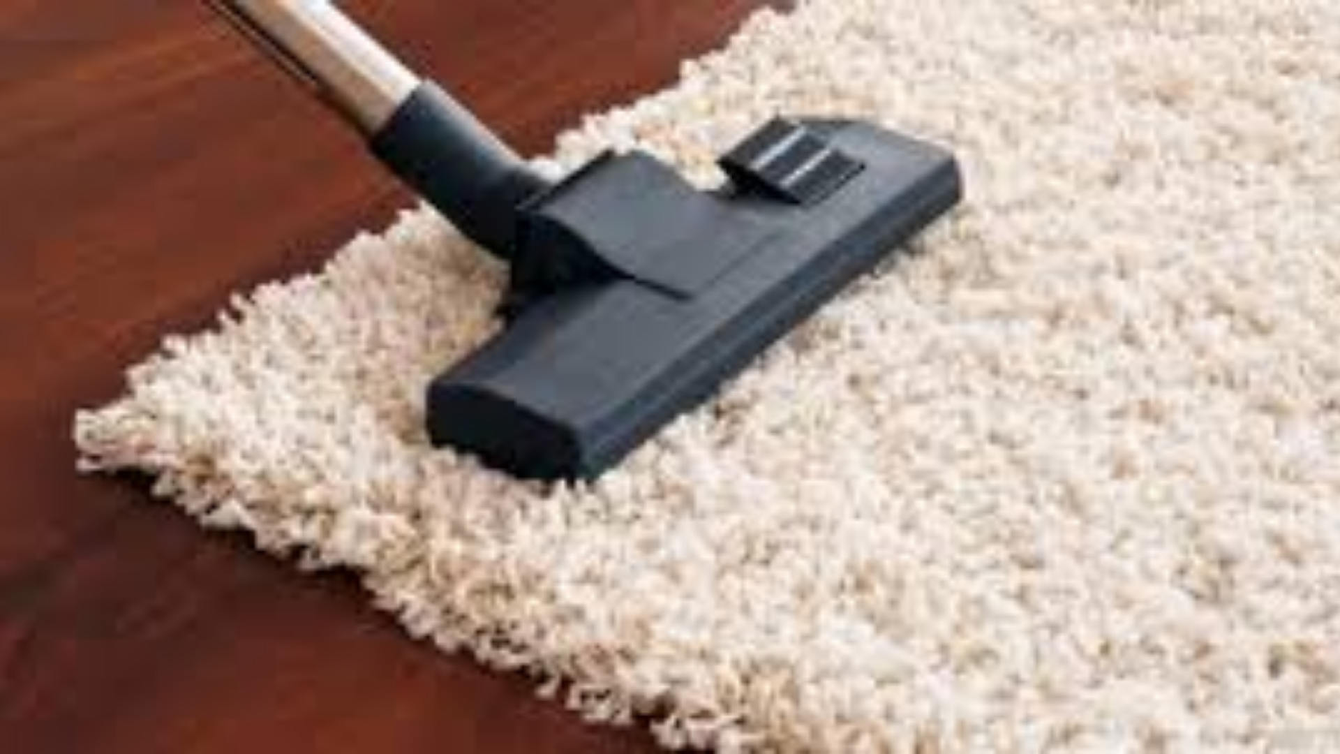 public/uploads/2021/11/carpet-cleaning-Newtown.png