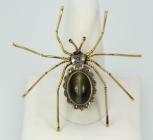 cat-eye spider