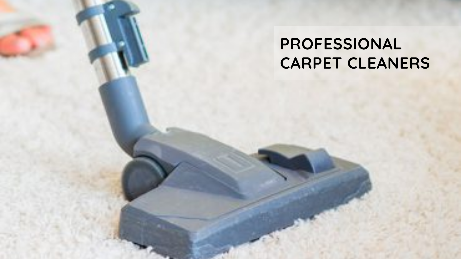 public/uploads/2021/12/CARPET-CLEANING-IN-HAMILTON.png