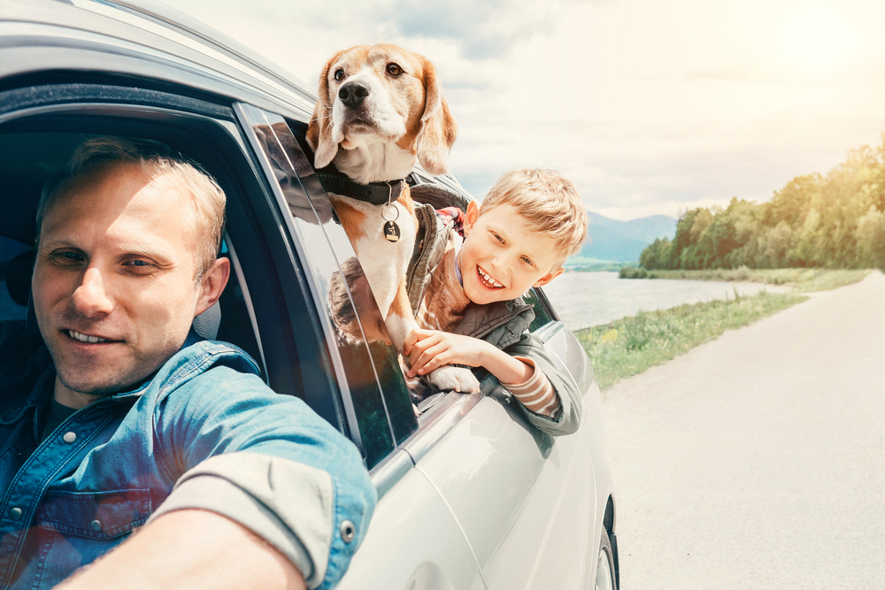 public/uploads/2021/12/Dog-in-car-with-man-and-child.jpg