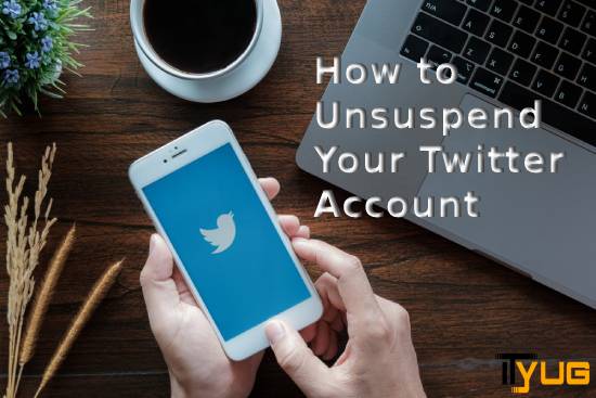 public/uploads/2021/12/How-to-Unsuspend-Your-Twitter-Account.jpg