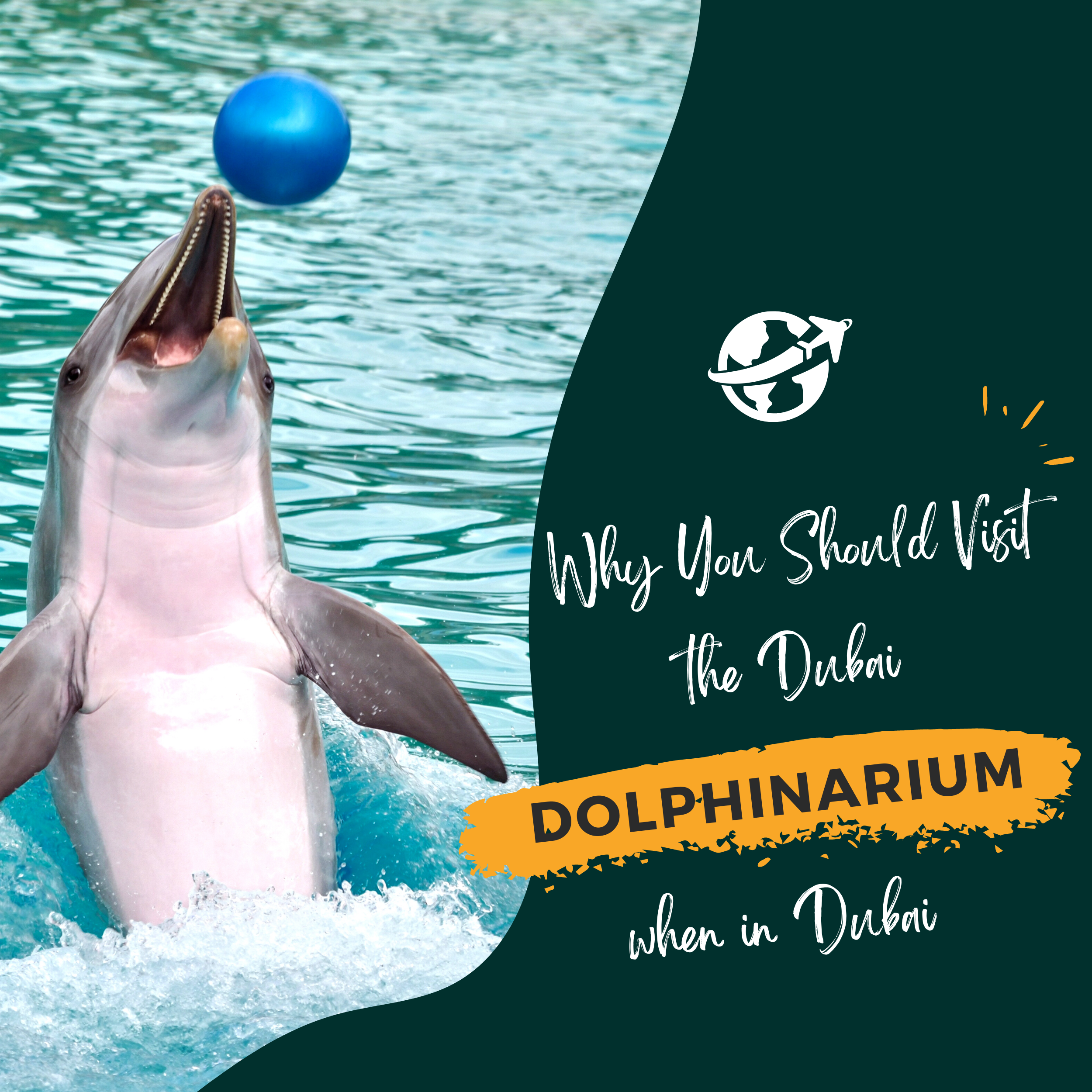 public/uploads/2021/12/Why-You-Should-Visit-the-Dubai-Dolphinarium-when-in-Dubai.png