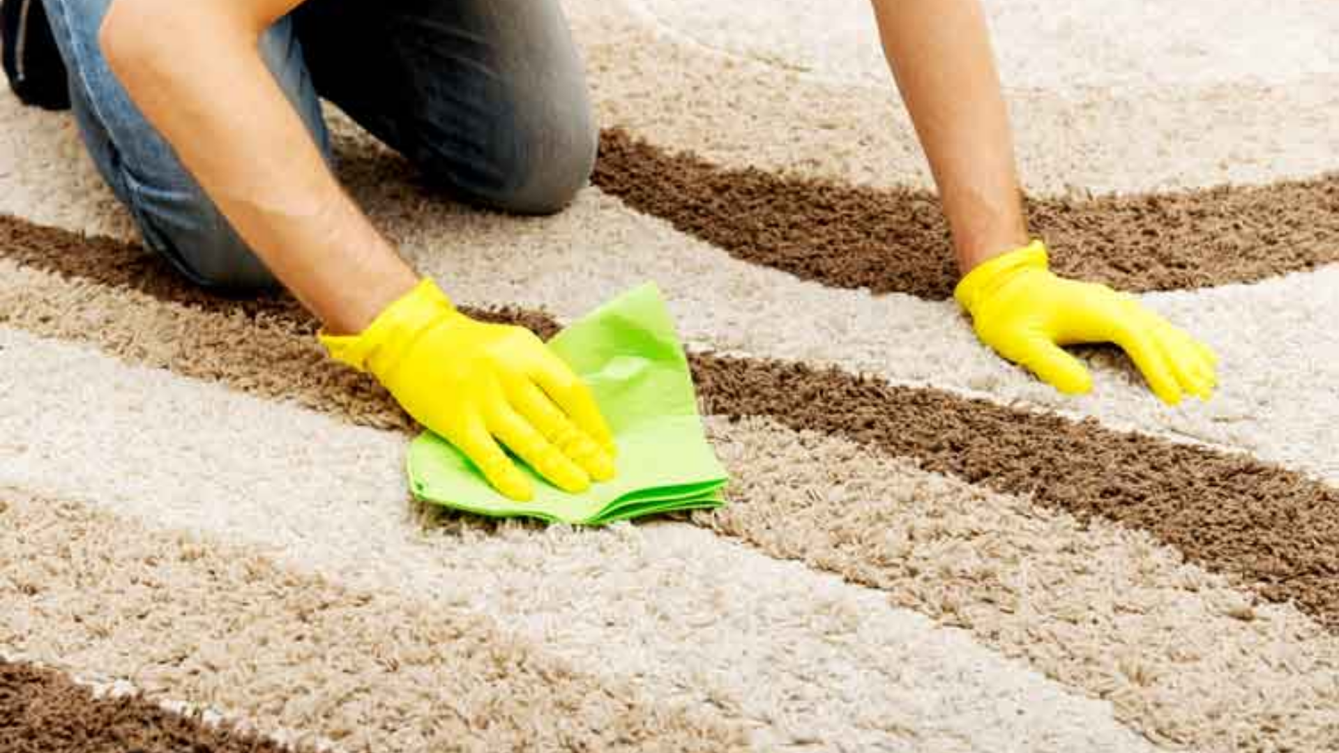 public/uploads/2021/12/carpet-cleaning-Windsor.png