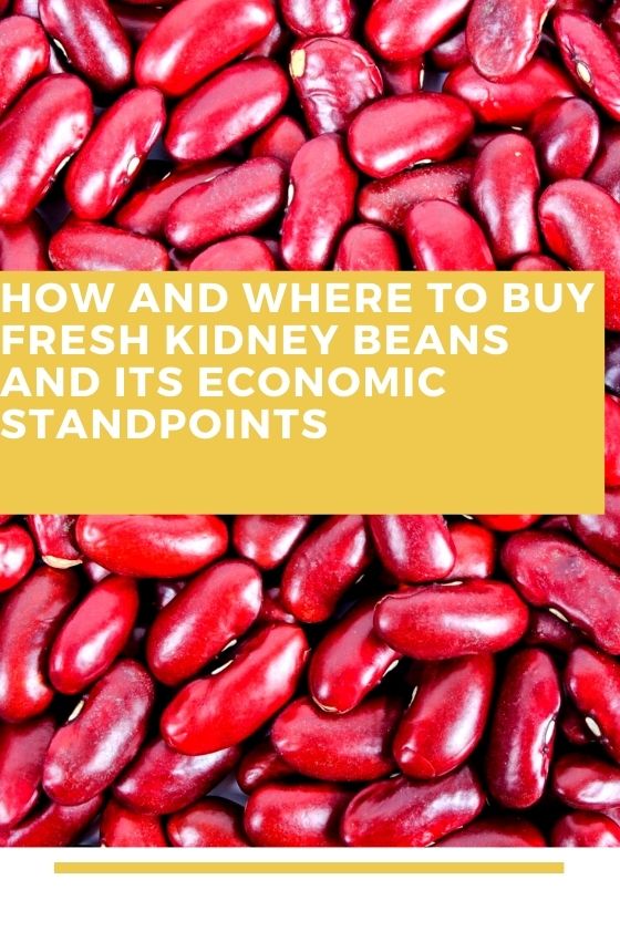 public/uploads/2022/01/How-and-Where-To-Buy-Fresh-Kidney-beans-and-its-economic-standpoints.jpg