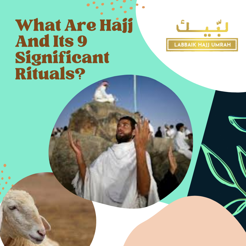 public/uploads/2022/01/What-Are-Hajj-And-Its-9-Significant-Rituals.png