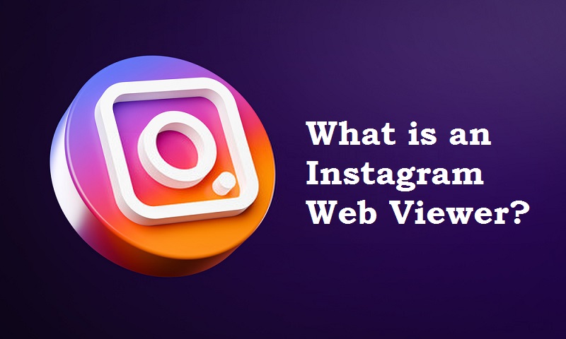 public/uploads/2022/01/What-is-an-Instagram-Web-Viewer.jpg