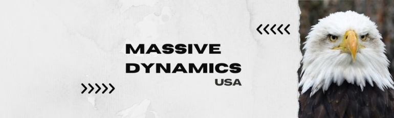 Massive Dynamics- Cross-platform flutter development company in New YorkMassive Dynamics- Cross-platform flutter development company in New York