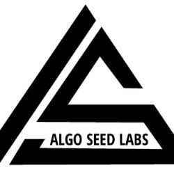 Algoseed Labs - Top Growing React Native App Development Company in Canada