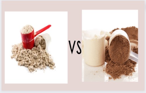 public/uploads/2022/12/raw-protein-powder-vs-whey-protein-powder-–-which-is-best-for-you.jpg